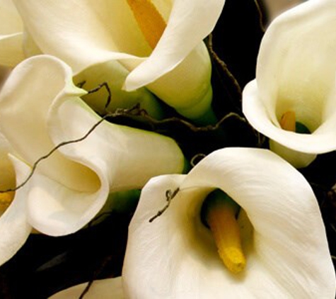 Barbara King Funeral Director Pty Ltd. To respect personal choice and have regard for diversity of beliefs in religious and cultural practices.