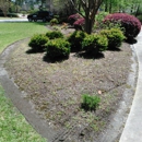 Cutting Edge Lawn Service - Lawn Maintenance