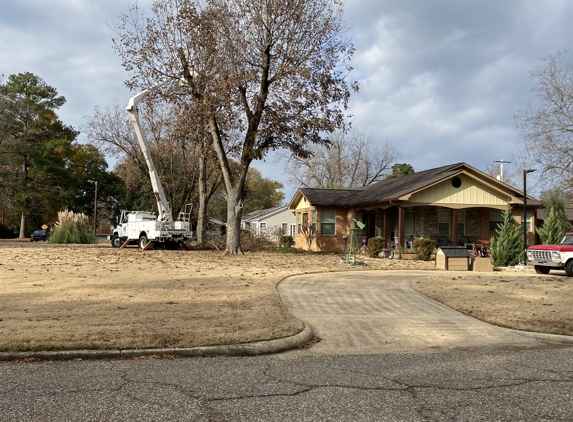 B & H Tree Service - Amory, MS