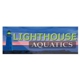 LightHouse Aquatics