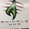 Animals MMA gallery