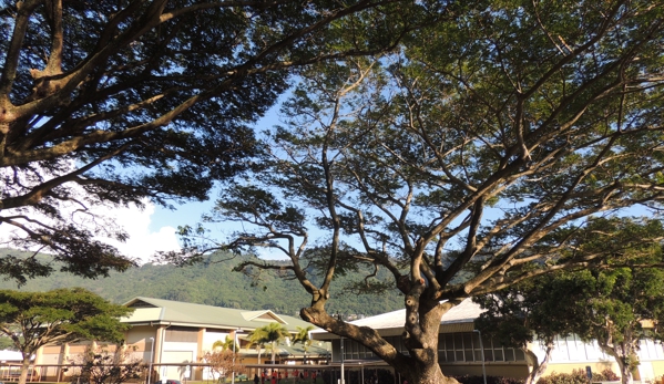 Manoa Valley District Park - Honolulu, HI