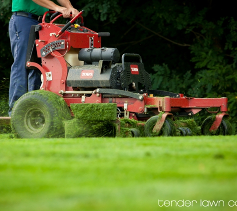 Tender Lawn Care - Grand Rapids, MI. Mowing