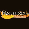 professional painters gallery