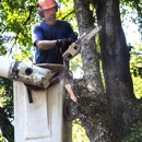 Evergreen Tree Company - Tree Service