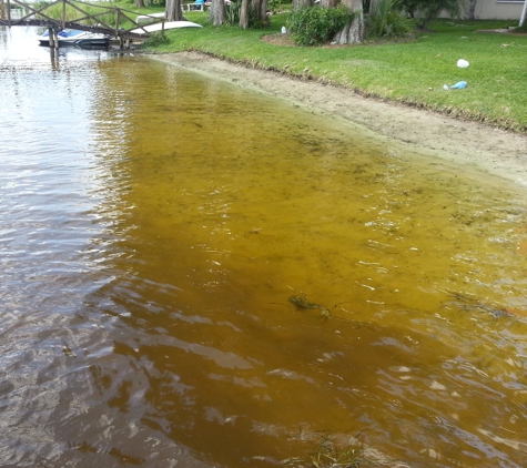 Lake Front Beach Cleaning - Odessa, FL