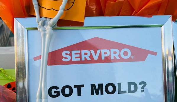 Servpro - Davie, FL