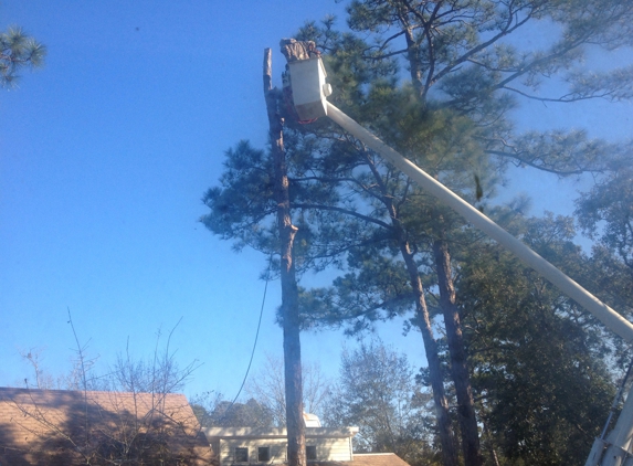 Southern Tree Surgery - Ocean Springs, MS