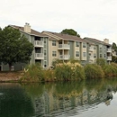 Spring House Apartments - Apartment Finder & Rental Service