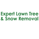 Expert Lawn Tree & Snow Removal - Tree Service