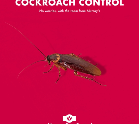 Murray Pest Control - Stepney, SA