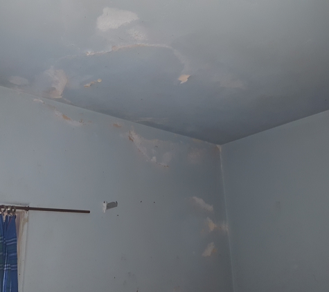 SD Mold Inspection - San Diego, CA