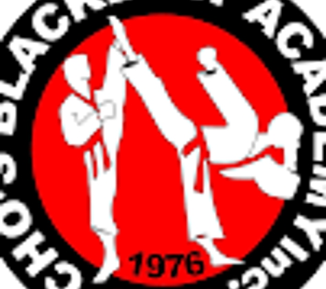 Cho`s Black Belt Academy - Fond Du Lac, WI