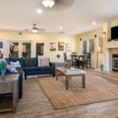 Cedar Springs Apartments - Apartments