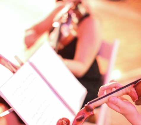 Organic String Quartet - Playa Del Rey, CA