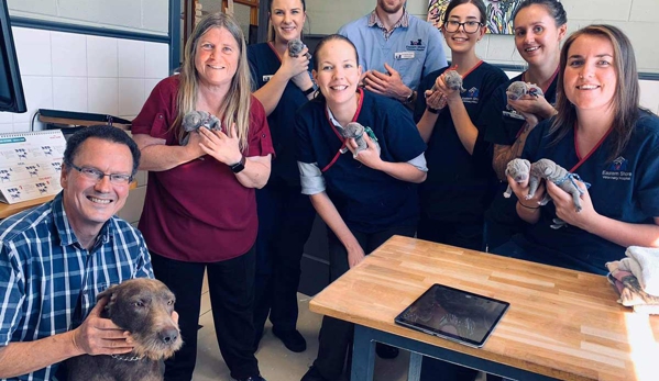 Eastern Shore Veterinary Hospital - Warrane, TAS