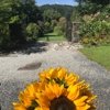 Daniel Boone Native Gardens gallery