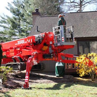 Mclellan Tree Service Inc. - Bristol, CT