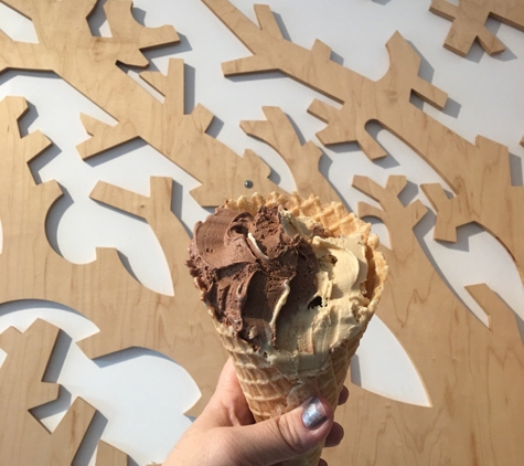 Nutty Squirrel Gelato - Seattle, WA