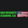 BAD Mesquite Clearing