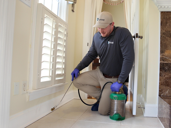 ClearDefense Pest Control - Knoxville, TN