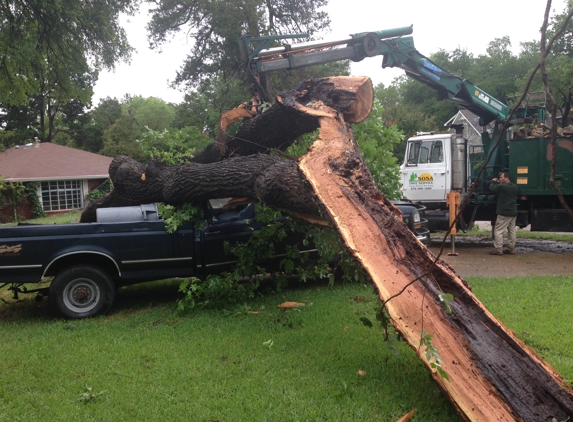 Sosa Tree Service