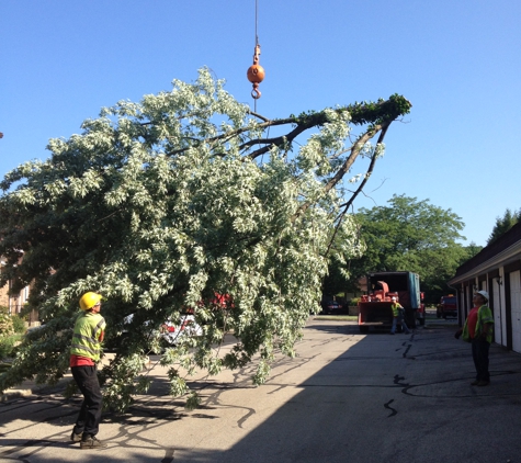 Kachur Tree Service - Niles, MI