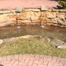 Lake Andover Koi & Pond Services - Pet Stores