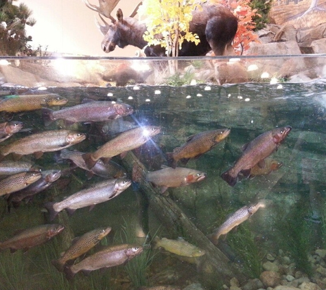 Cabela's - Thornton, CO