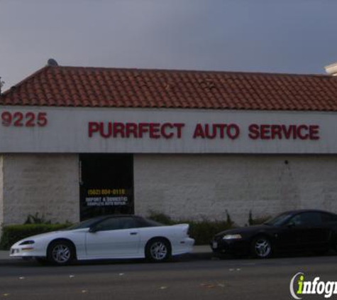 Purrfect Auto Service - Bellflower, CA