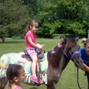 Teeny Tiny Farm Traveling Pony - Children's Party Planning & Entertainment