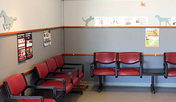 East Bundaberg Veterinary Hospital - Bundaberg East, QLD