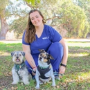 VCA Mission San Jose Animal Hospital - Veterinary Clinics & Hospitals