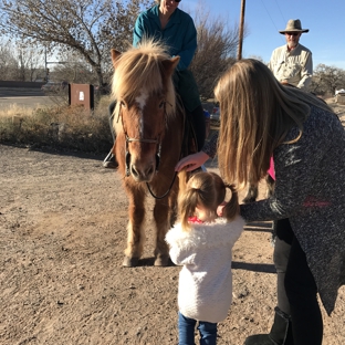 Lauren Cherie Photography - Albuquerque, NM. Beautiful horses we ran into during the photo shoot! 