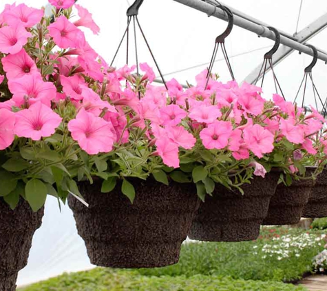 Ibrox Park Nursery. Nursery & Garden Supplies Wholesale