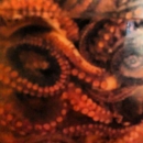 Mariscos Frescos - Restaurants