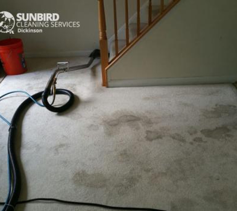 Sunbird Cleaning Services - Dickinson, TX