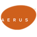 Aerus - Fireplaces