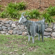 Gallery Image Number 8