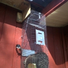 Wildlife Removal & Repair LLC