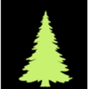 Windsor Tree Service - Tree Service