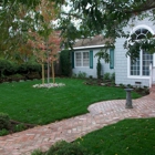 Pazmany Brothers Landscaping | Landscape Specialist