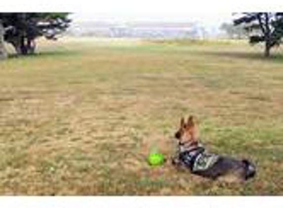 Canine Class Room Dog Training in Portland - Portland, OR