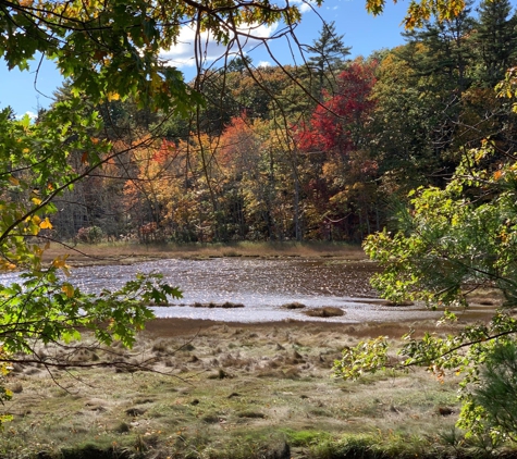 Rachel Carson National Wildlife Refuge - Wells, ME