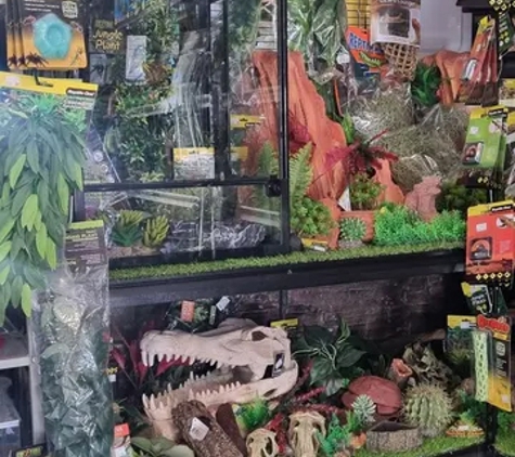 Valley Garden Centre - Kempsey, NSW