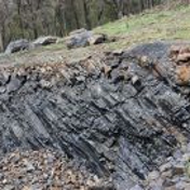 Gallery Image Number 4