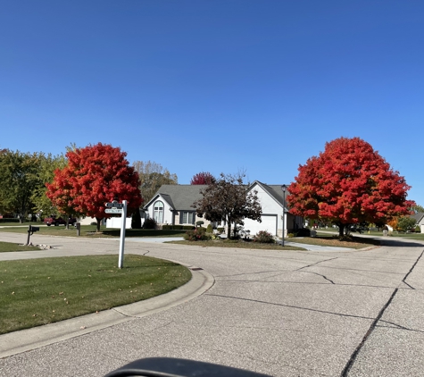 Holland Tree Services - Clio, MI