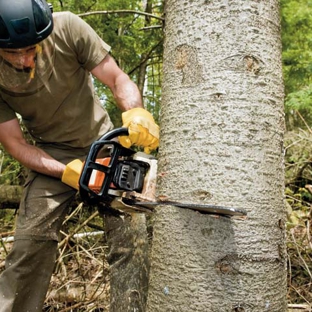 Shawano Tree Service - Shawano, WI