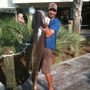 Foley Fishing Charters Saltwater Fishing Guides