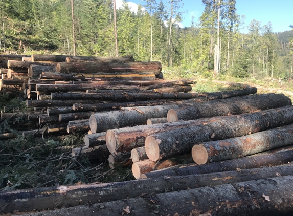 ATF Timberland Consulting, LLC - Colville, WA. Logs by the Log Deck